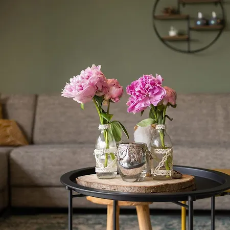 Vakantiewoning Le Garaazje