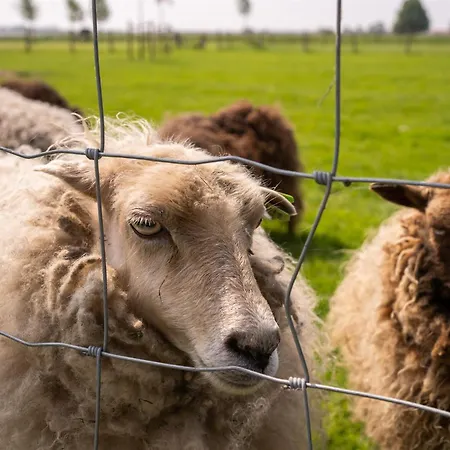 Vakantiewoning Le Garaazje 'S-Gravendeel