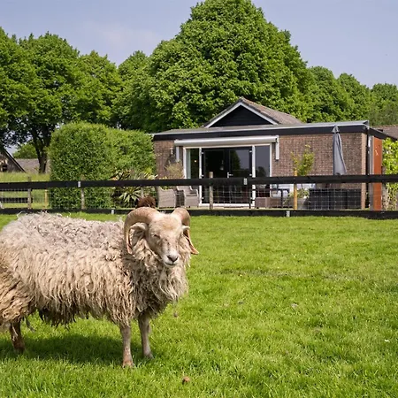 Appartamento Vakantiewoning Le Garaazje