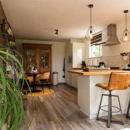 Vakantiewoning Le Garaazje Apartamento 'S-Gravendeel