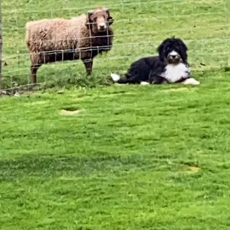 Lejlighed Vakantiewoning Le Garaazje *