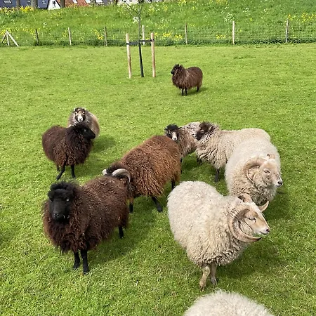 Apartament Vakantiewoning Le Garaazje 'S-Gravendeel