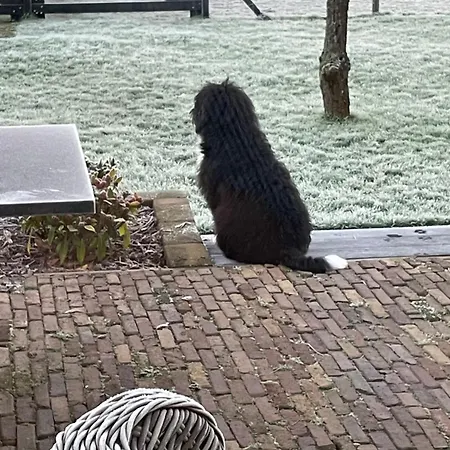 Vakantiewoning Le Garaazje 'S-Gravendeel