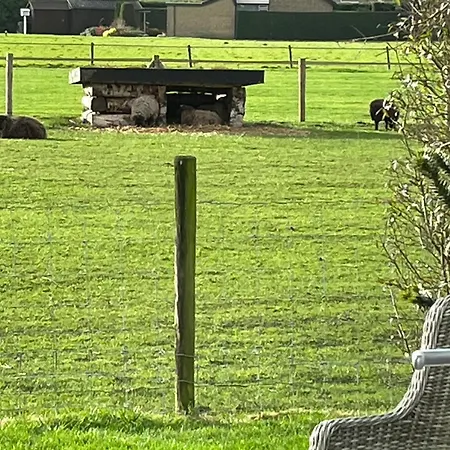 Vakantiewoning Le Garaazje * 'S-Gravendeel