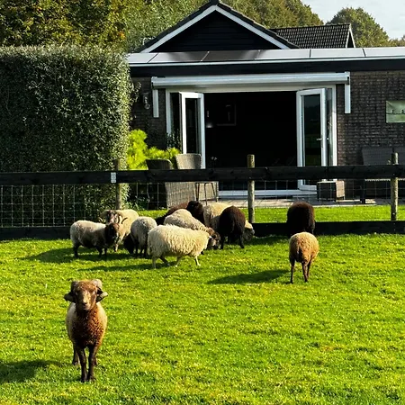 Lejlighed Vakantiewoning Le Garaazje