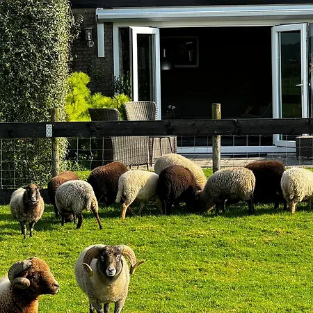 Lejlighed Vakantiewoning Le Garaazje