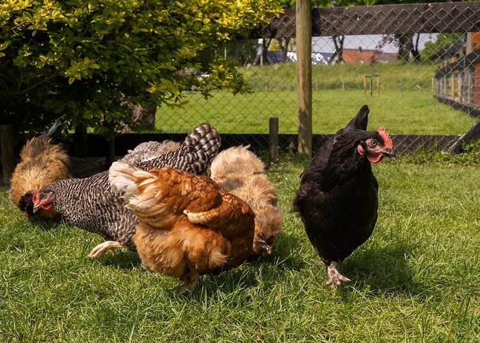 Vakantiewoning Le Garaazje Апартаменты