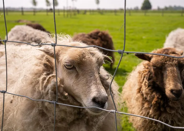 Vakantiewoning Le Garaazje 'S-Gravendeel