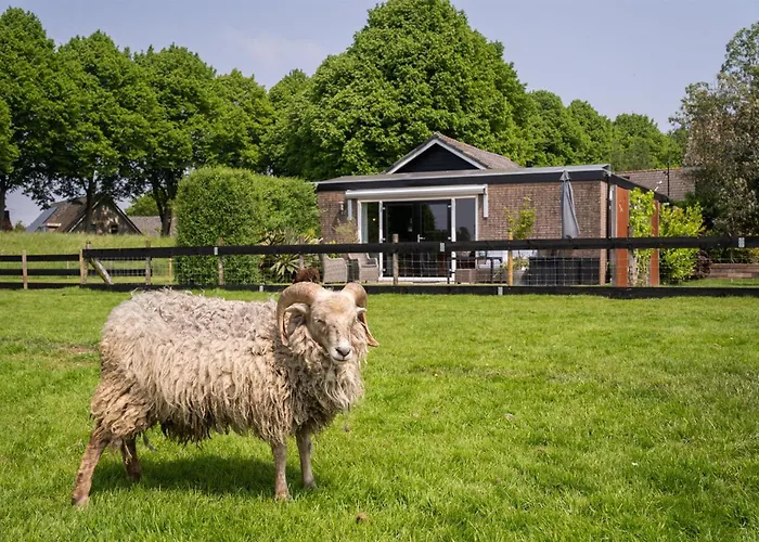 Апартаменты Vakantiewoning Le Garaazje