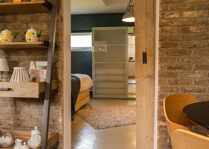 Апартаменты Vakantiewoning Le Garaazje 'S-Gravendeel