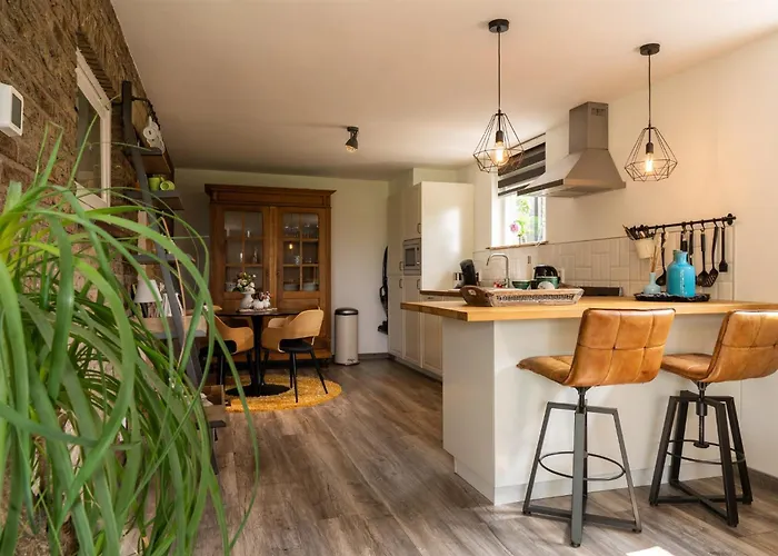 Vakantiewoning Le Garaazje Апартаменты 'S-Gravendeel