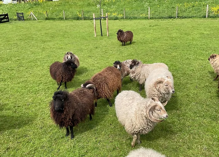 Apartamento Vakantiewoning Le Garaazje 'S-Gravendeel