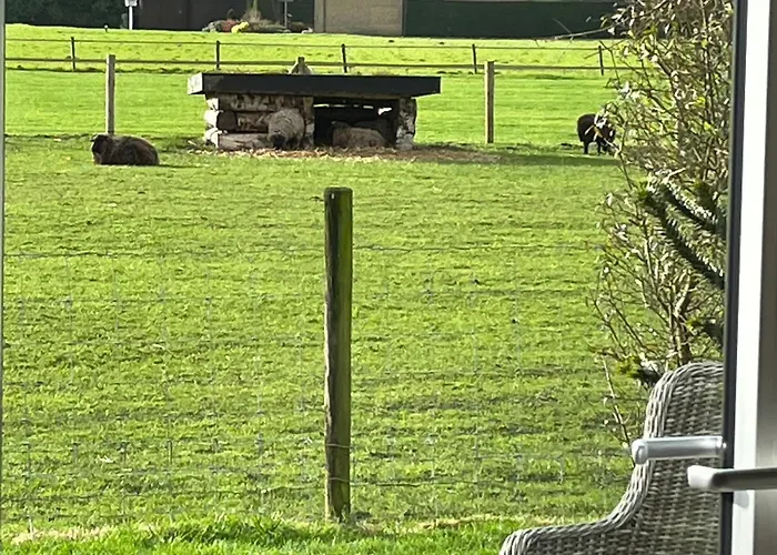 Vakantiewoning Le Garaazje * 'S-Gravendeel