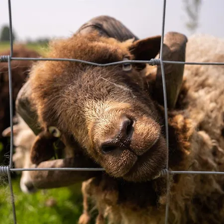Vakantiewoning Le Garaazje