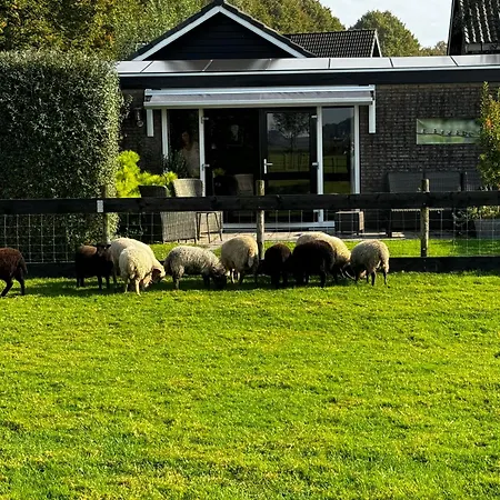 公寓 Vakantiewoning Le Garaazje 'S-Gravendeel